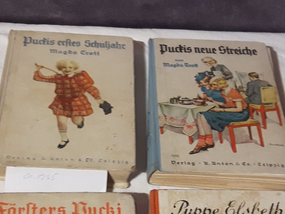 Antike Kinderbücher Romane 1890 - 1941 in Döbeln