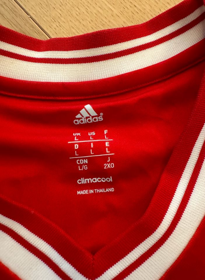 FC Bayern Trikot Wembley 2013 in München