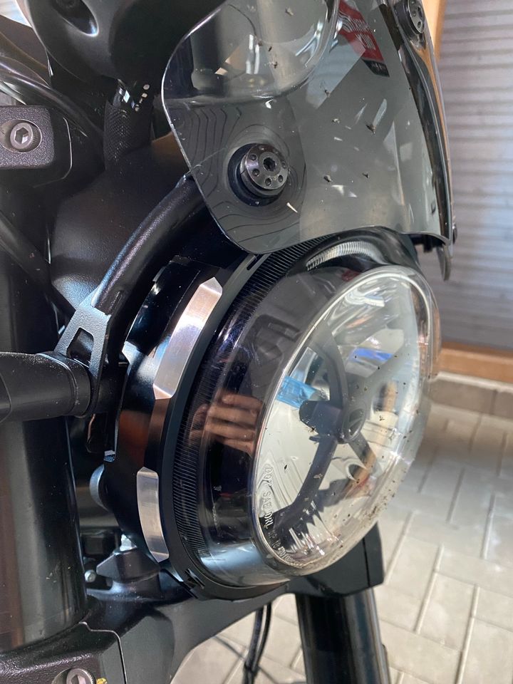 Ducati Scrambler 1100 Dark Pro in Husum