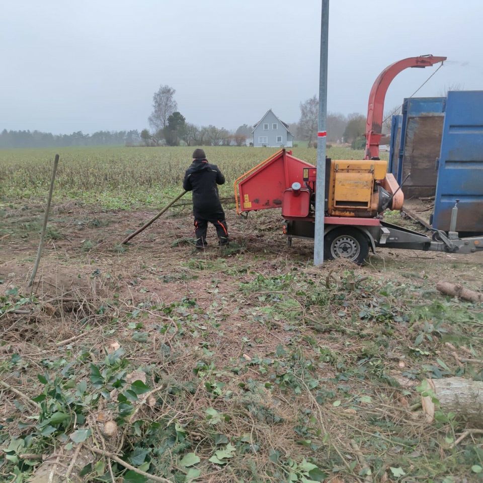 Baufeldfreimachung/Flächenrodung/Baumpflege/Fällung/Stubbenfräsen in Wagenfeld