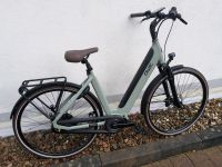 Qwic E-Bike Premium IMN7+ 80Nm 540Whatt Schnapper 2650.-€ Hessen - Rotenburg Vorschau