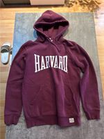 H&M Harvard Pullover Gr. S Schleswig-Holstein - Kappeln Vorschau