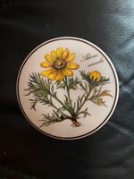 Sammlerstück Serie Botanica „Adonis vernalis“, Villeroy&Boch Baden-Württemberg - Sindelfingen Vorschau