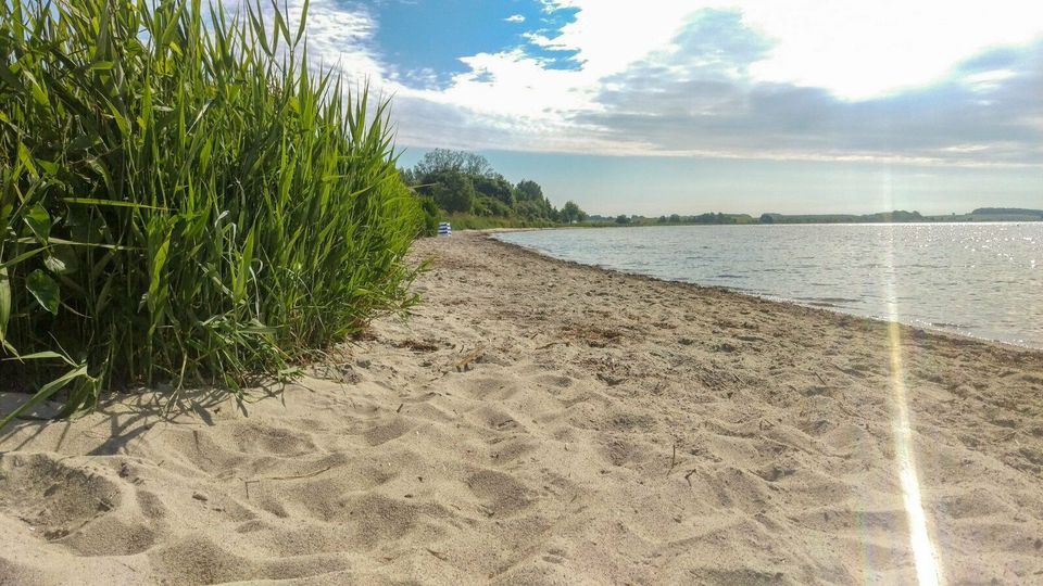 Urlaub auf Rügen: "Kapitäns Hus" bis 8 Pers. mit Wellness in Putbus