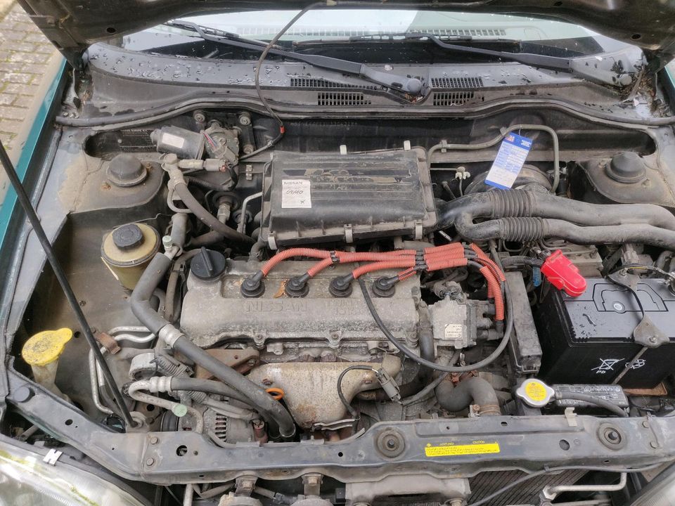 Nissan Micra K11 SERVO in Neustadt