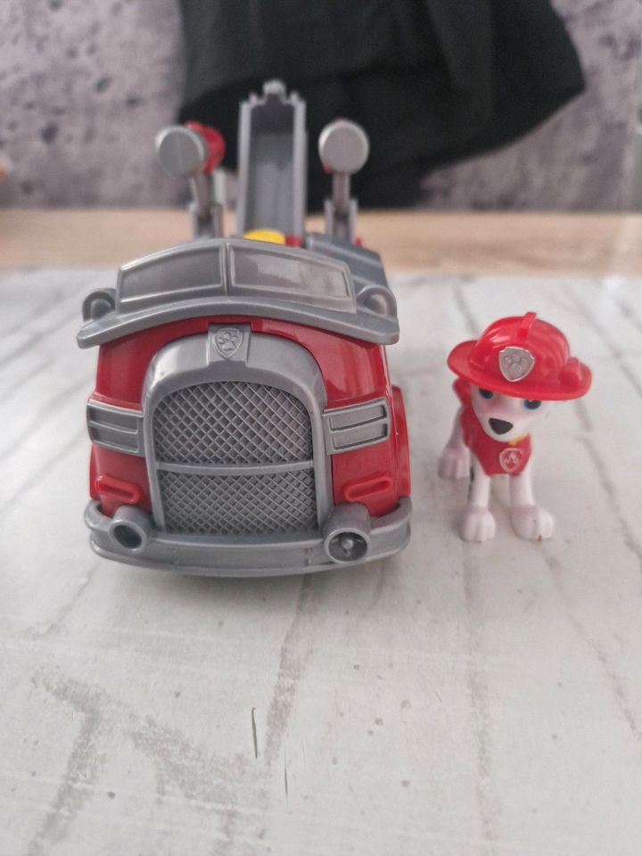 Paw Patrol Marshall in Thüngersheim