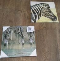 Zebra Bilder Leinwand 25x 25 cm NEU OV Niedersachsen - Varel Vorschau