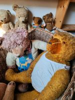 Konvolut an Teddybären Baden-Württemberg - Dornhan Vorschau