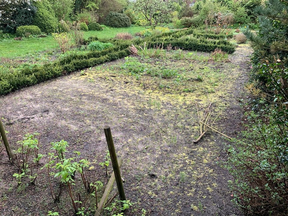 Hobbygarten in 25355 Barmstedt zu Verpachten in Ellerhoop