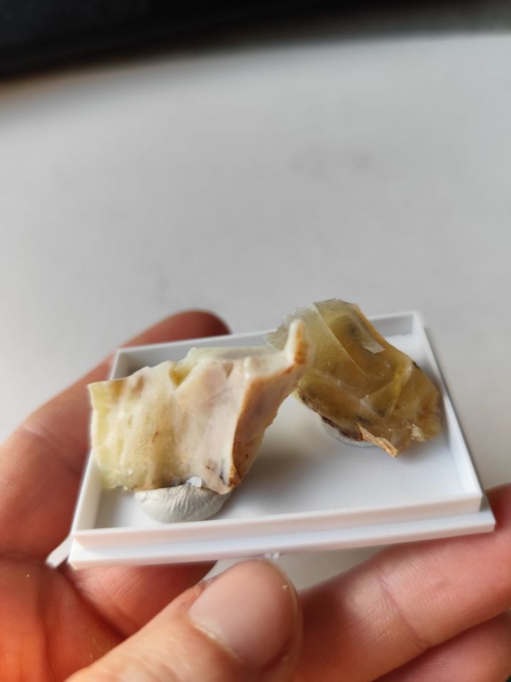 MEGA 2x Honigopal Opal Mineralien MineralSteine Edelsteine in Creußen