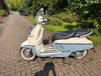 Peugeot Django 50 2T !!! Nordrhein-Westfalen - Schermbeck Vorschau