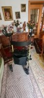 Rollator mit Armlehne Nordrhein-Westfalen - Gladbeck Vorschau