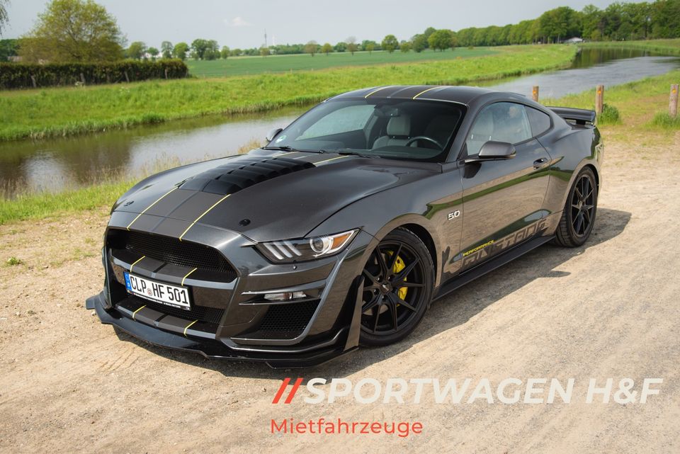 Ford Mustang GT 5.0 mieten V8 Sportwagen Hochzeit Auto Mietwagen in Löningen