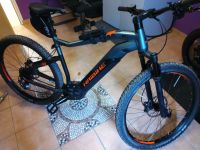 E MTB Haibike Hardnine 8.0 L 52cm Bayern - Neunburg Vorschau