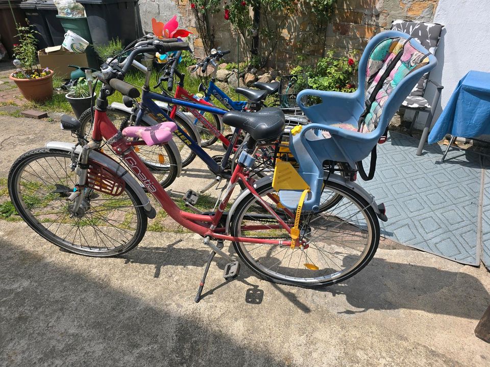 Damen fahrrad 28 zoll inkl. 2 kindersitzen in Bitterfeld