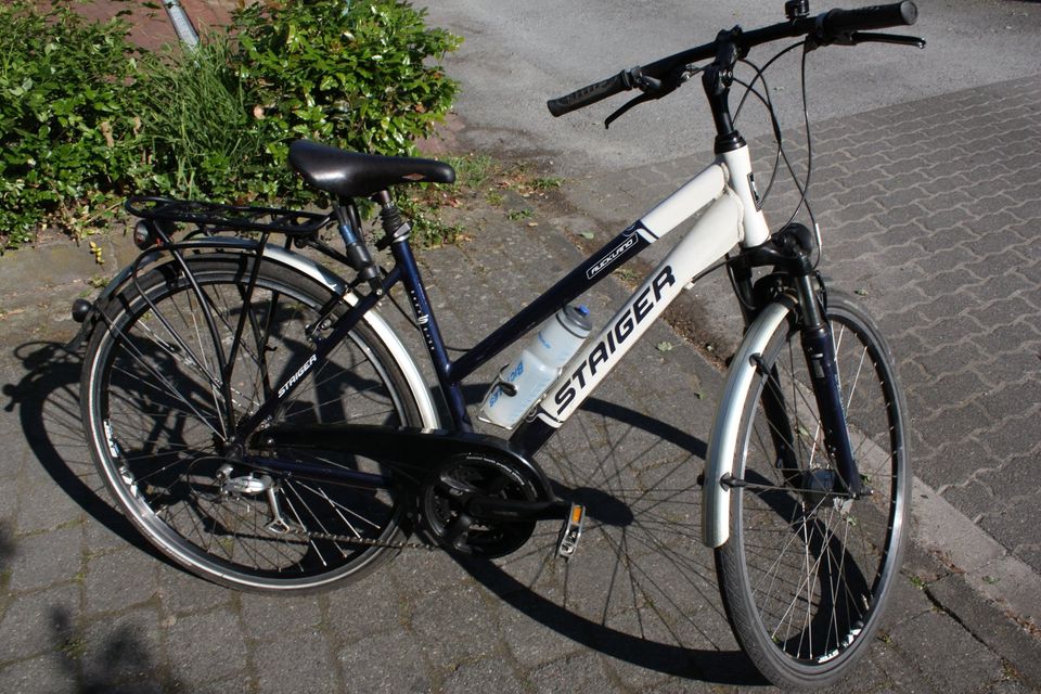 Damen Fahrrad Steiger in Rietberg