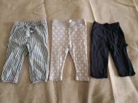 Set Hosen Jogginghose Tom Tailor H&M 74 80 Eimsbüttel - Hamburg Eimsbüttel (Stadtteil) Vorschau