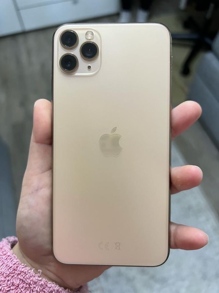 iPhone 11 Pro Max in Recklinghausen