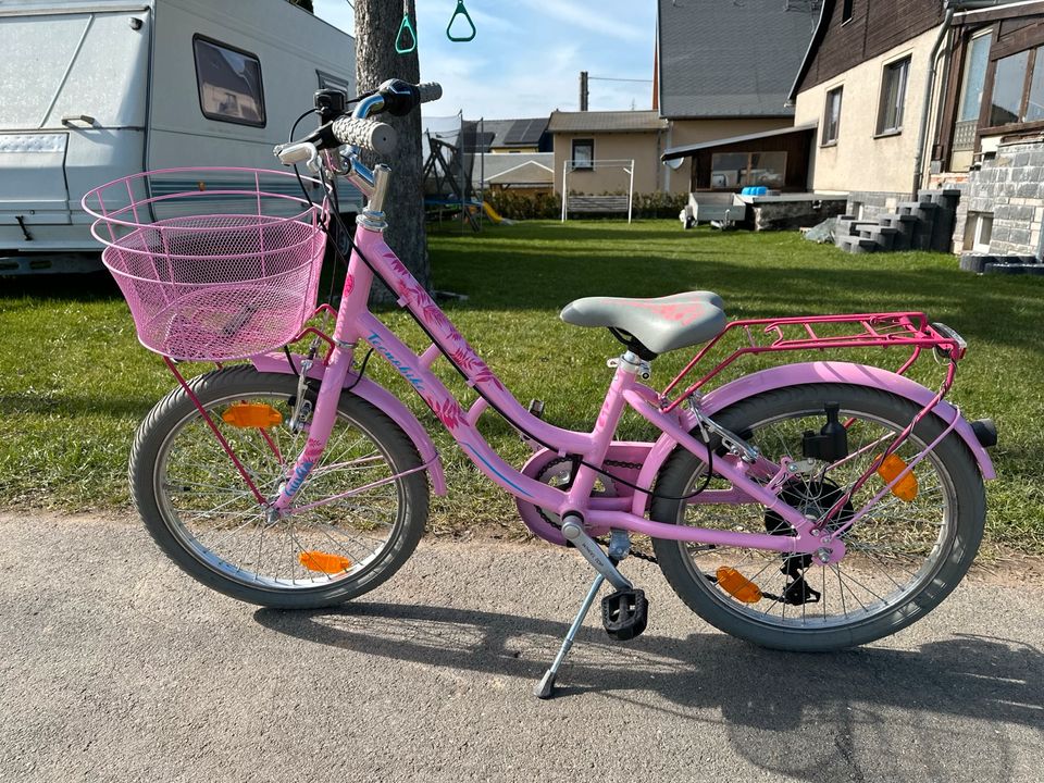 Mädchen Fahrrad Cityrad  20 Zoll Pink Rosa 3 - 9 Jahre top in Zobes