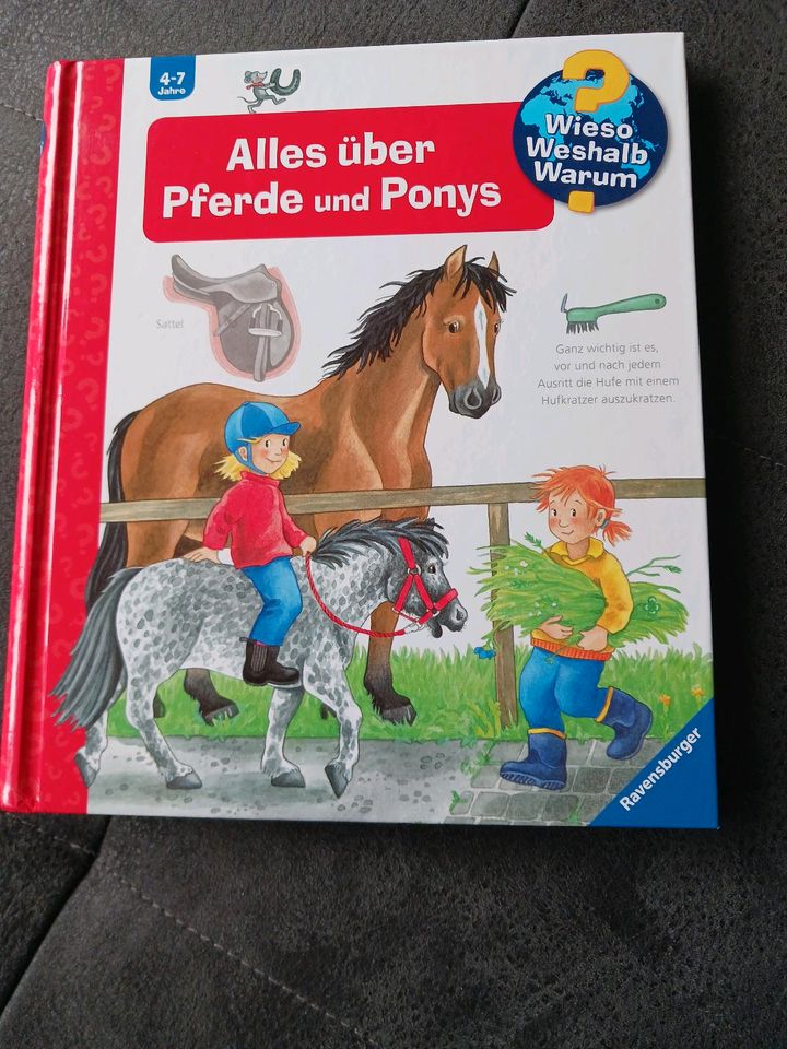Alles über Pferde und Ponys, wieso weshalb warum in Glatten