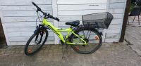 Kinderfahrrad 26zoll Pegasus Niedersachsen - Ahnsbeck Vorschau