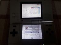 Nintendo DS Silber Spielkonsole Chemnitz - Rottluff Vorschau