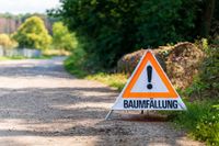 ⭐️ Hecke schneiden Baum fällen Wurzel entfernen Wurzelstock Bayern - Memmingen Vorschau