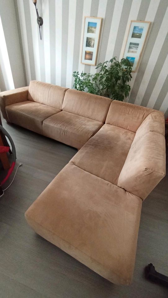 Sofa Federkern/Microfaser!!! 2,90mx 2,30m in Peine
