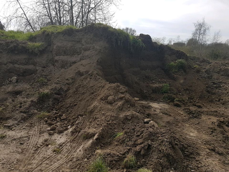 Muttererde zu verschenken // Einfach abholen in Schlagsdorf (bei Gadebusch)