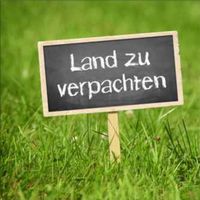 Suche Gartengrundstück zum verpachten/kaufen Baden-Württemberg - Wertheim Vorschau