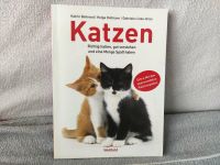 Buch - Katzen richtig halten, gut verstehen - Weltbild Hessen - Kelsterbach Vorschau