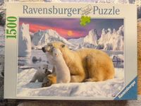 Ravensburger Puzzle 1500 Teile, Eisbären Nordrhein-Westfalen - Meckenheim Vorschau