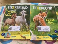 Tierfreund zu verschenken Niedersachsen - Diepenau Vorschau