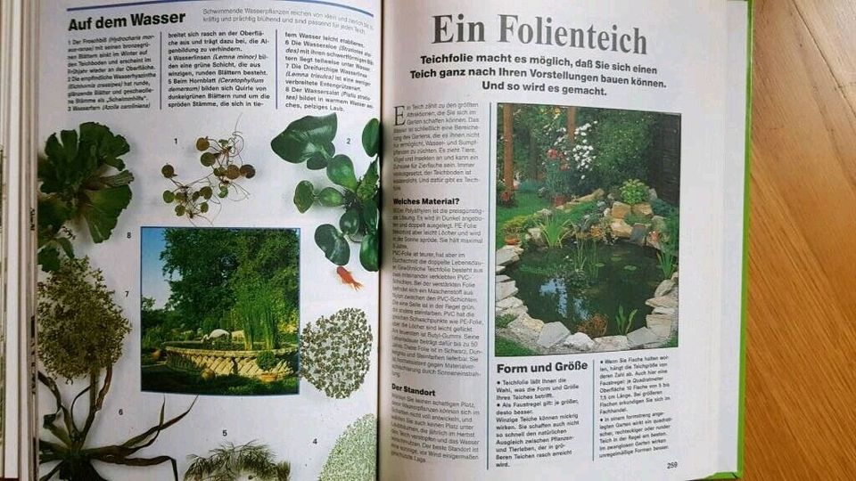 Buch Gartengestaltung Gartenpflege Garten Anlagen in Frohburg