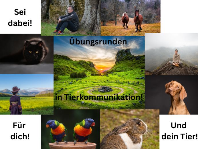 Online-Übungsrunden in Tierkommunikation in Köln