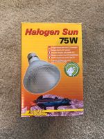 Halogen sun, 75W, Sonnenlampe, Reptil,Terrarium Ludwigslust - Landkreis - Hagenow Vorschau
