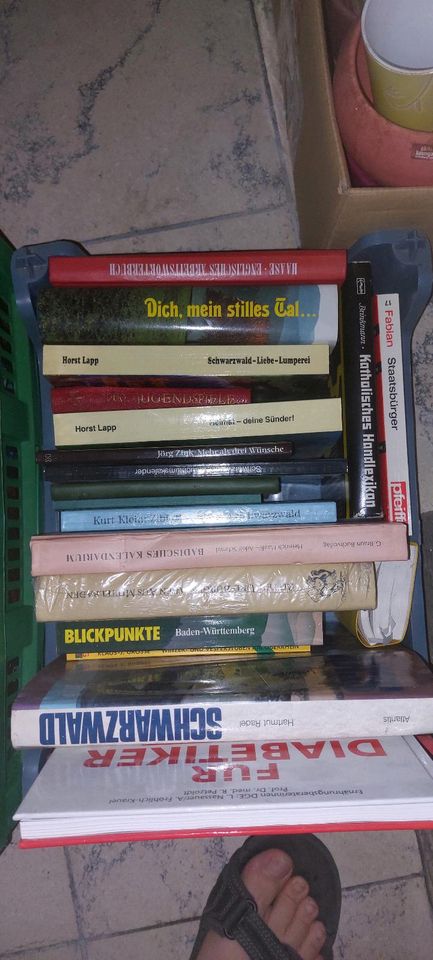 Bücher 5 Kisten in Wolfach