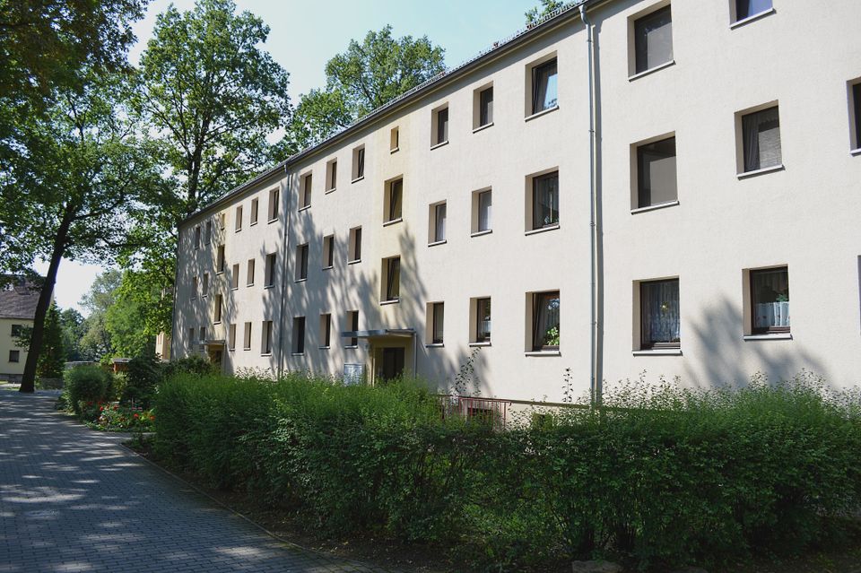 Sanierte 3-Raum Wohnung in ruhiger Lage am Waldrand in Königsbrück