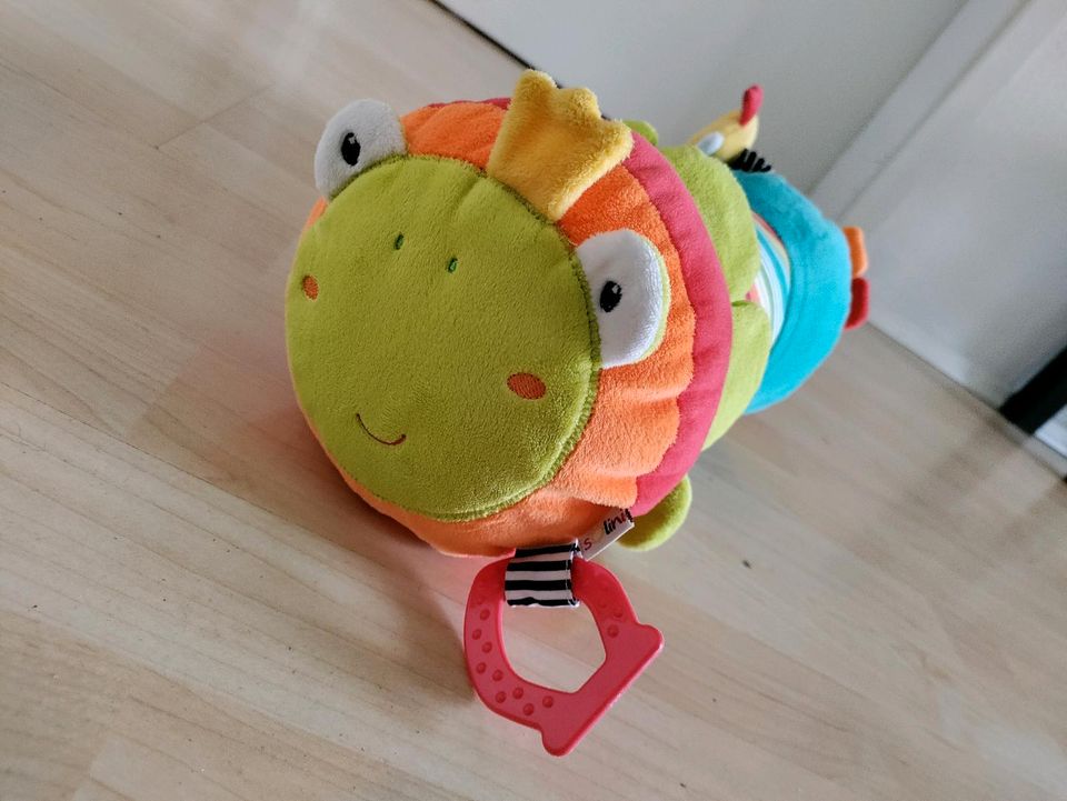 Solini Krabbelrolle Froschkönig neu in Baden-Württemberg - Empfingen | Baby  Spielzeug gebraucht kaufen | eBay Kleinanzeigen ist jetzt Kleinanzeigen