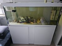 Aquarium mit unterschrank EHEIM Rheinland-Pfalz - Mainz Vorschau