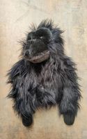 Daphne's Gorilla Headcover schutzhülle golfschläger neu Hessen - Usingen Vorschau
