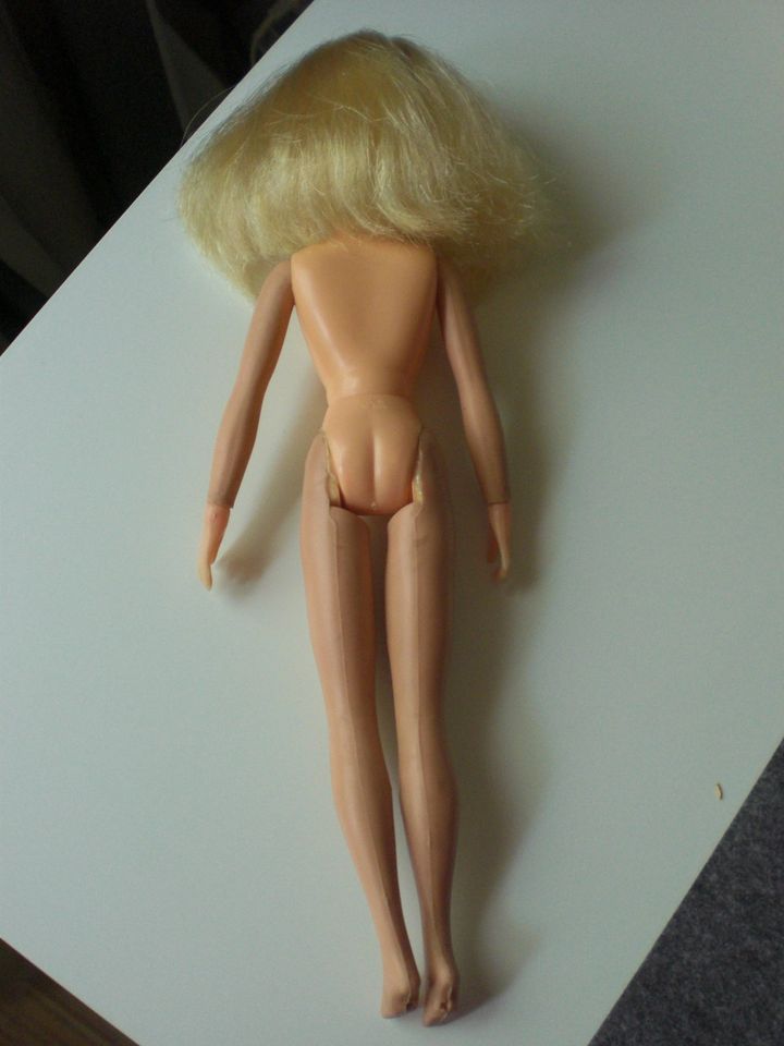 Barbie Skipper Petra Sindy Clone Puppen Sammlung Teilauflösung in Herten