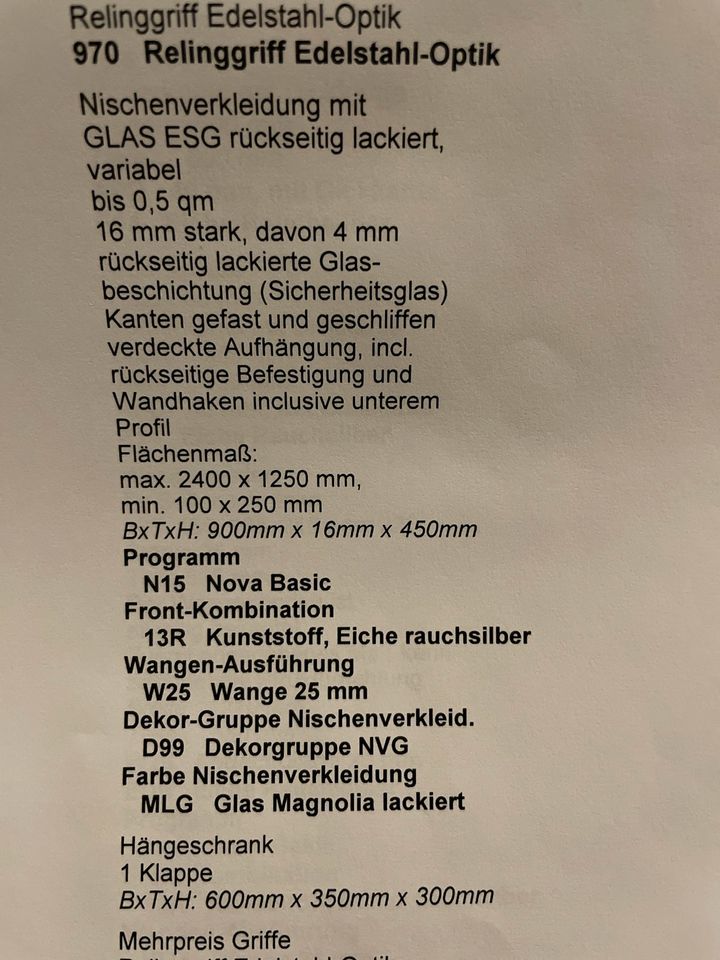 Nolte Nischenverkleidung Wandschutz Spritzschutz ESG Glas in Homburg