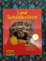 Landschildkröten Nordrhein-Westfalen - Warendorf Vorschau