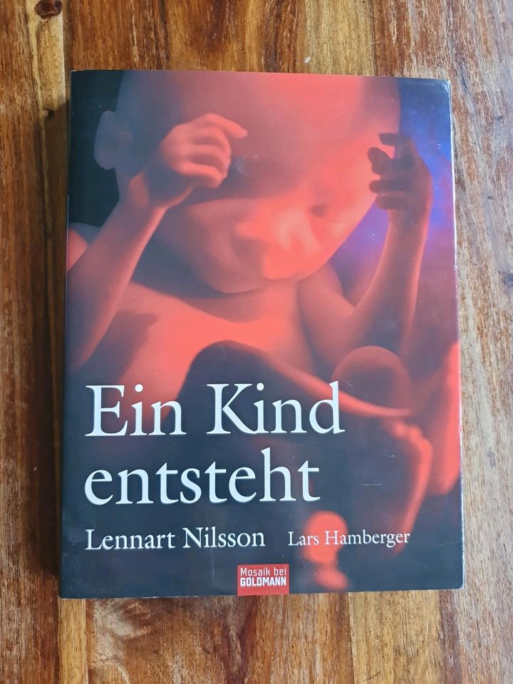 Ein Kind entsteht v. Nilsson/ Hamberger in Essen