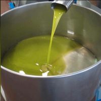 Olivenöl aus Salerno (Italien) Rheinland-Pfalz - Diez Vorschau