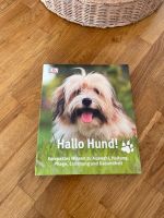 DK  Hallo Hund ! Sachbuch für Einsteiger Schleswig-Holstein - Alveslohe Vorschau