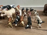 Verkaufe Schleich Tiere Sachsen - Wachau Vorschau