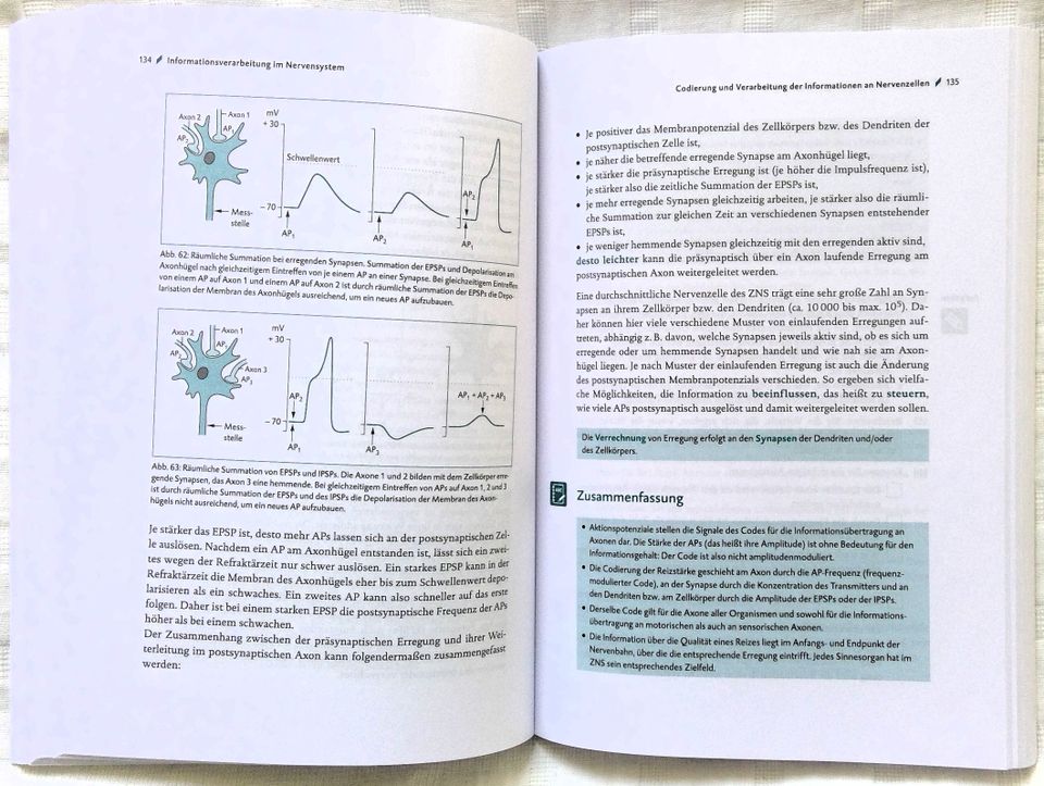 STARK Abitur-Training Biologie 1 & 2 (NRW) in Köln