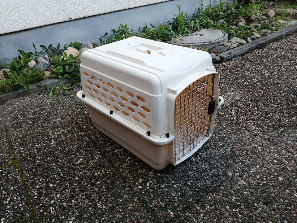 Hundetransportbox Hartplastik 70x45x52 in Hirschberg a.d. Bergstr.